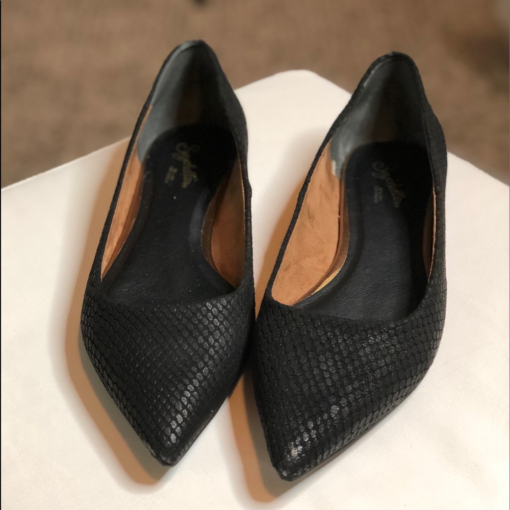 Seychelles Flats